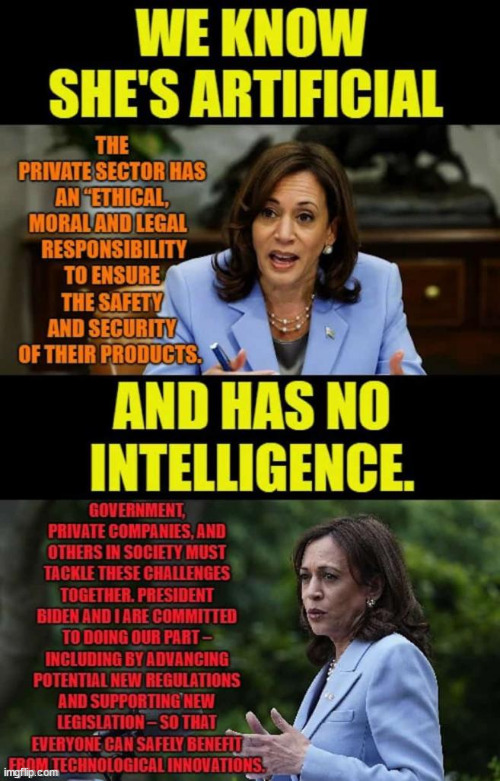 She is not qualified for the job. | image tagged in kamala harris,unfit for office | made w/ Imgflip meme maker