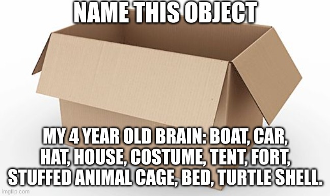 Please let me know if I've forgotten anything | NAME THIS OBJECT; MY 4 YEAR OLD BRAIN: BOAT, CAR, HAT, HOUSE, COSTUME, TENT, FORT, STUFFED ANIMAL CAGE, BED, TURTLE SHELL. | image tagged in empty cardboard box | made w/ Imgflip meme maker