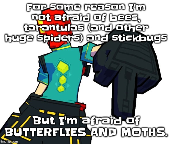 Like bro | For some reason I'm not afraid of bees, tarantulas (and other huge spiders) and stickbugs; But I'm afraid of BUTTERFLIES AND MOTHS. | image tagged in red | made w/ Imgflip meme maker