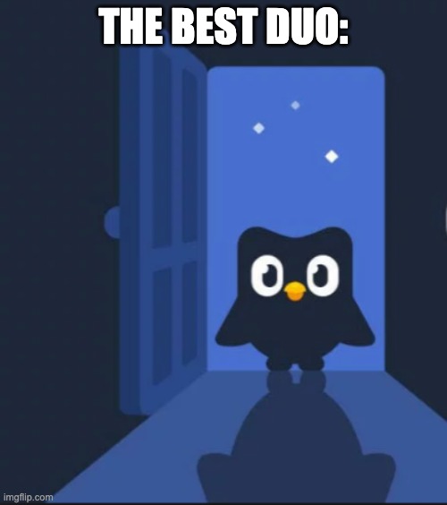 Duolingo bird | THE BEST DUO: | image tagged in duolingo bird | made w/ Imgflip meme maker