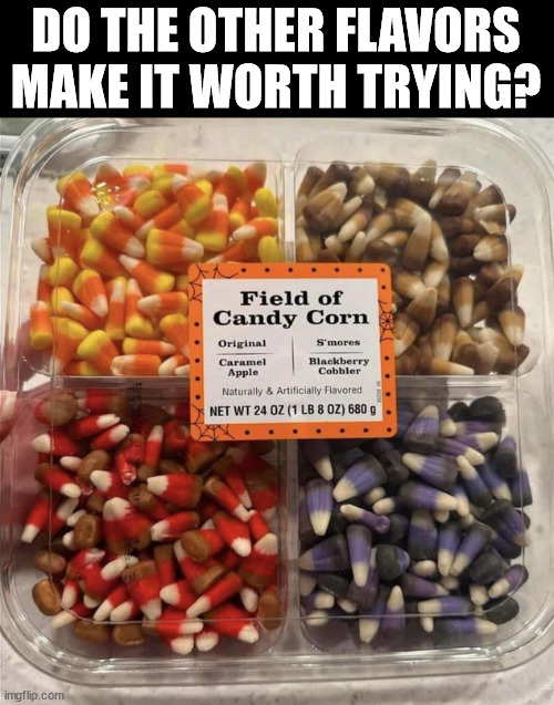 I know some people like Candy Corn .... | DO THE OTHER FLAVORS MAKE IT WORTH TRYING? | image tagged in candy corn | made w/ Imgflip meme maker
