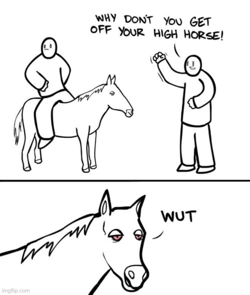 High horse | image tagged in wut,what,high,horse | made w/ Imgflip meme maker