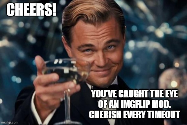 Leonardo Dicaprio Cheers Meme | CHEERS! YOU'VE CAUGHT THE EYE
OF AN IMGFLIP MOD.
CHERISH EVERY TIMEOUT | image tagged in memes,leonardo dicaprio cheers | made w/ Imgflip meme maker