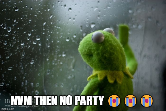 kermit window | NVM THEN NO PARTY ??? | image tagged in kermit window | made w/ Imgflip meme maker