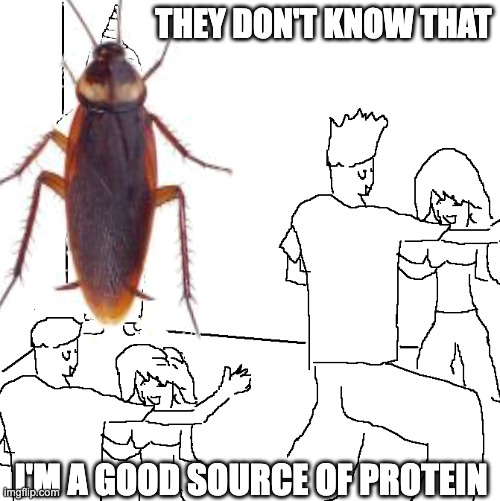 cockroach protein | THEY DON'T KNOW THAT; I'M A GOOD SOURCE OF PROTEIN | image tagged in they don't know,cockroach,protein | made w/ Imgflip meme maker