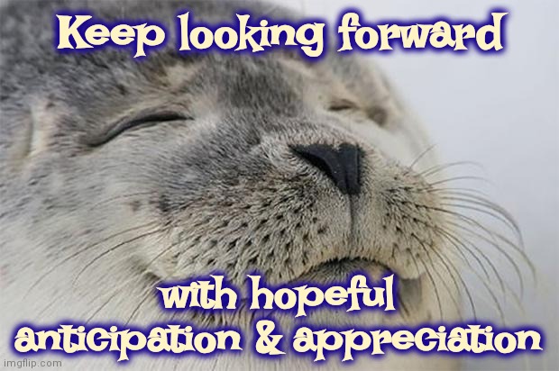 There No Need In Looking Back | Keep looking forward; with hopeful anticipation & appreciation | image tagged in memes,satisfied seal,forgive and forget,move on,keep moving forward,maintain an attitude of gratitude | made w/ Imgflip meme maker