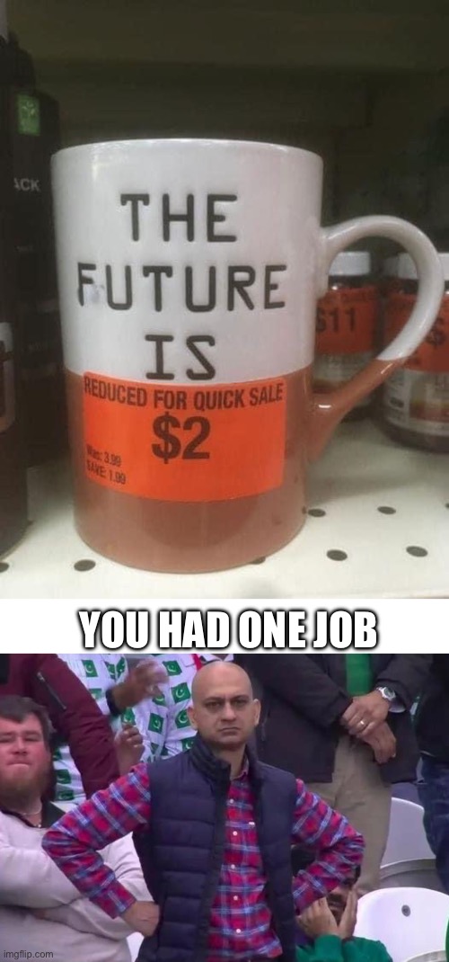 The future | YOU HAD ONE JOB | image tagged in unimpressed man,sale,special,you had one job,the future | made w/ Imgflip meme maker