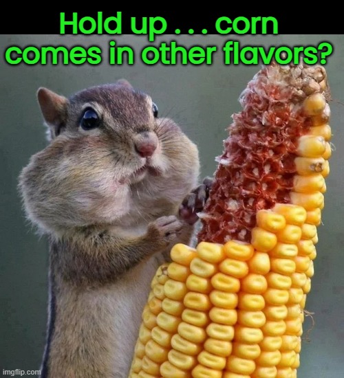 Hold up . . . corn comes in other flavors? | made w/ Imgflip meme maker
