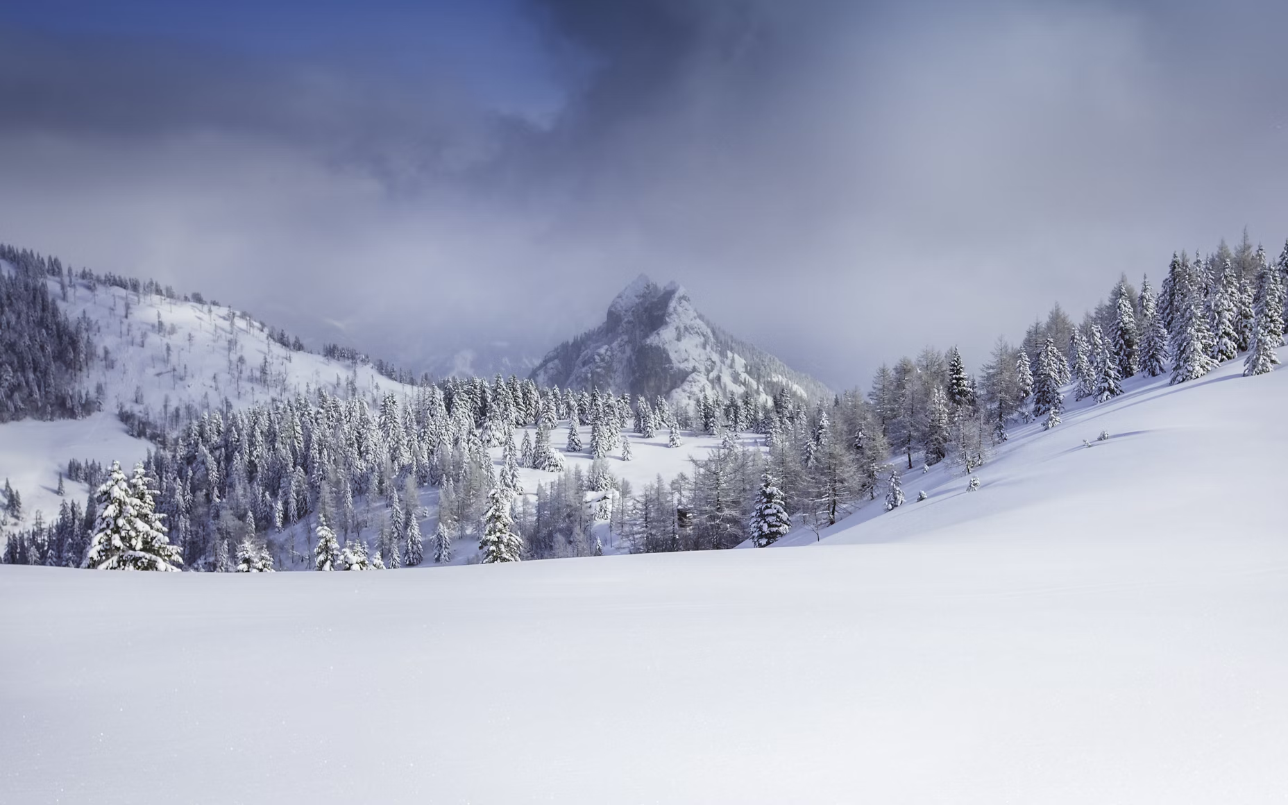 Snowy landscape Blank Meme Template