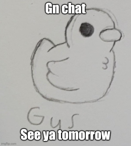 Gus The Duck | Gn chat; See ya tomorrow | image tagged in gus the duck | made w/ Imgflip meme maker