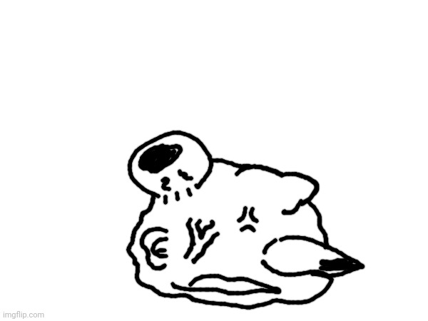 Dingdong Fuckface | image tagged in dingdong fuckface | made w/ Imgflip meme maker