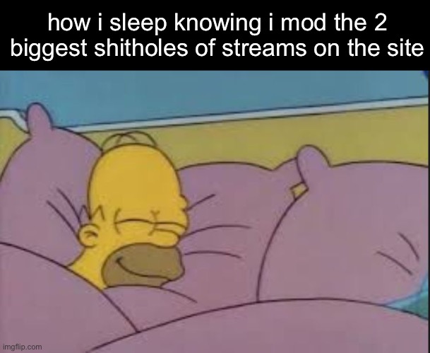 msmg and bossfights | how i sleep knowing i mod the 2 biggest shitholes of streams on the site | image tagged in how i sleep homer simpson | made w/ Imgflip meme maker