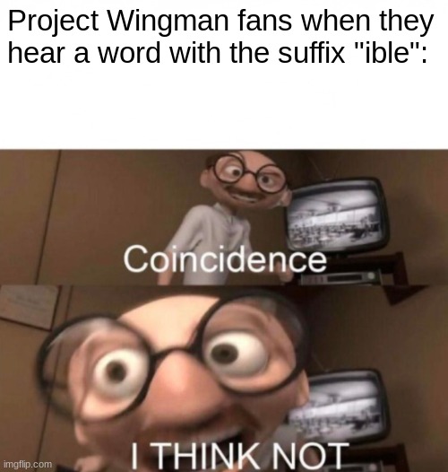 coincidence? I THINK NOT | Project Wingman fans when they hear a word with the suffix "ible": | image tagged in coincidence i think not | made w/ Imgflip meme maker