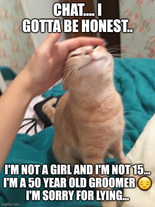 I'm sorry everyone | CHAT.... I GOTTA BE HONEST.. I'M NOT A GIRL AND I'M NOT 15...
I'M A 50 YEAR OLD GROOMER 😔
I'M SORRY FOR LYING... | image tagged in i'm serious | made w/ Imgflip meme maker