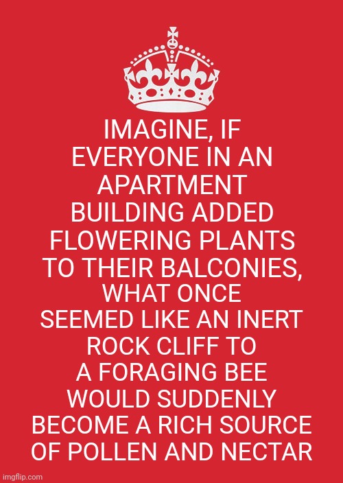 Bees | IMAGINE, IF EVERYONE IN AN APARTMENT BUILDING ADDED FLOWERING PLANTS TO THEIR BALCONIES, WHAT ONCE SEEMED LIKE AN INERT ROCK CLIFF TO A FORAGING BEE WOULD SUDDENLY BECOME A RICH SOURCE OF POLLEN AND NECTAR | image tagged in memes,keep calm and carry on red,birds and bees,bees,wait a second this is wholesome content,be helpful | made w/ Imgflip meme maker