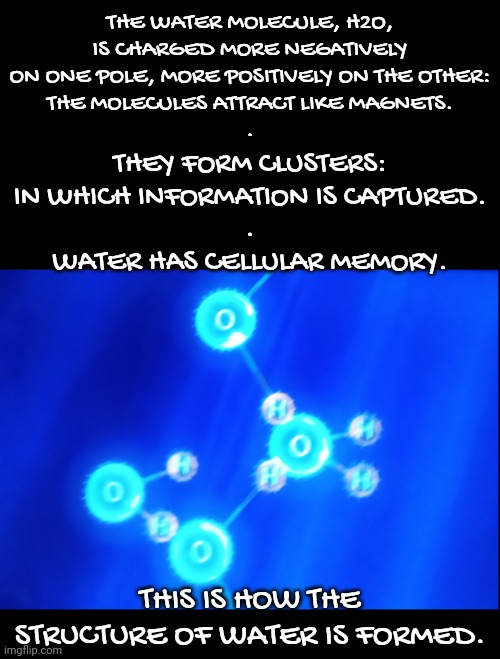 The Form of Water | THE WATER MOLECULE, H2O,
IS CHARGED MORE NEGATIVELY ON ONE POLE, MORE POSITIVELY ON THE OTHER:
THE MOLECULES ATTRACT LIKE MAGNETS.
. THEY FORM CLUSTERS: IN WHICH INFORMATION IS CAPTURED.
.
WATER HAS CELLULAR MEMORY. THIS IS HOW THE STRUCTURE OF WATER IS FORMED. | image tagged in blossomraveneski,walk on water | made w/ Imgflip meme maker