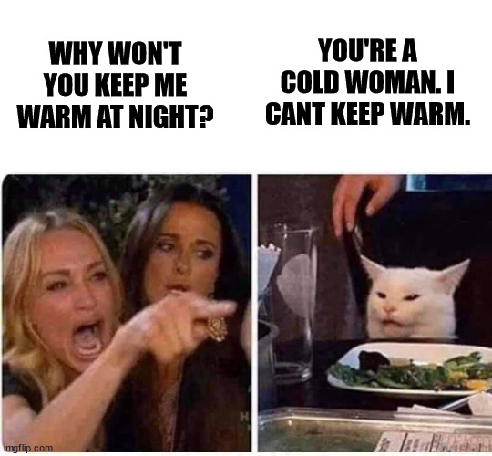 Silly Cat | YOU'RE A COLD WOMAN. I CANT KEEP WARM. WHY WON'T YOU KEEP ME WARM AT NIGHT? | image tagged in woman argues with cat | made w/ Imgflip meme maker