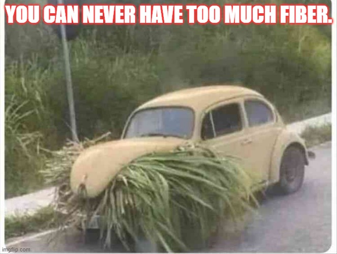 Fiber | YOU CAN NEVER HAVE TOO MUCH FIBER. | image tagged in eat your veggies,fiber,volkswagen | made w/ Imgflip meme maker