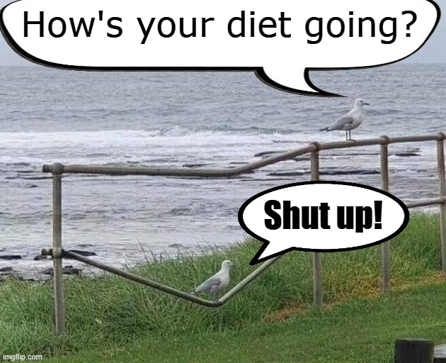 Failed diet | How's your diet going? Shut up! | image tagged in weight loss | made w/ Imgflip meme maker