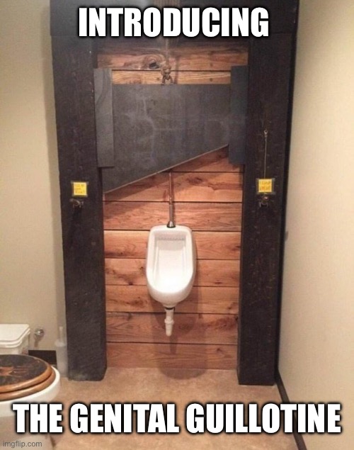 Genital guillotine | INTRODUCING; THE GENITAL GUILLOTINE | image tagged in guillotine,genitals,castration,cut | made w/ Imgflip meme maker