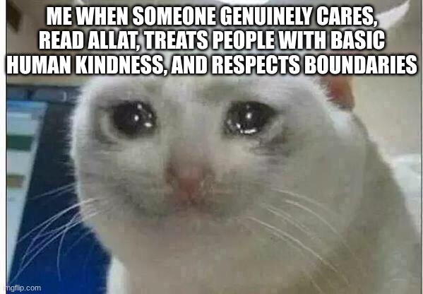 couldn't find a stream to put this in lol | ME WHEN SOMEONE GENUINELY CARES, READ ALLAT, TREATS PEOPLE WITH BASIC HUMAN KINDNESS, AND RESPECTS BOUNDARIES | image tagged in crying cat | made w/ Imgflip meme maker