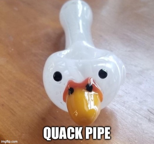 You’re on quack | image tagged in quack,pipe,pipe_picasso | made w/ Imgflip meme maker