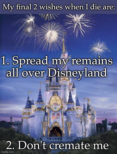 When I die | My final 2 wishes when I die are:; 1. Spread my remains all over Disneyland; 2. Don't cremate me | image tagged in disney,die,funeral | made w/ Imgflip meme maker