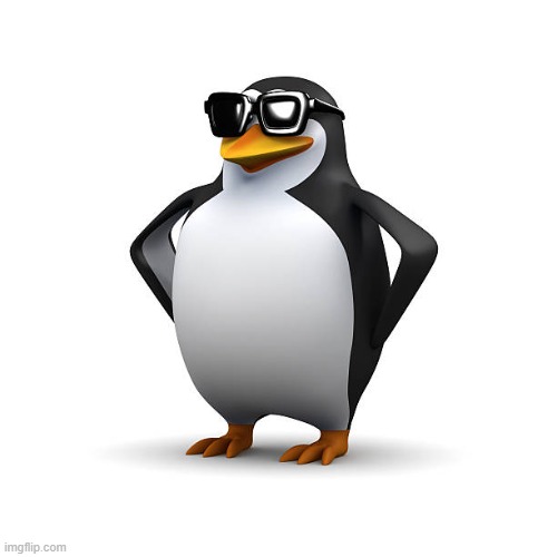 Cool Penguin | image tagged in cool penguin | made w/ Imgflip meme maker