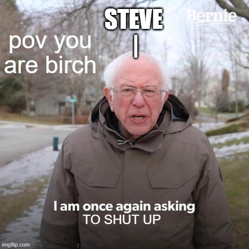 Bernie I Am Once Again Asking For Your Support Meme | STEVE 
|; pov you are birch; TO SHUT UP | image tagged in memes,bernie i am once again asking for your support | made w/ Imgflip meme maker