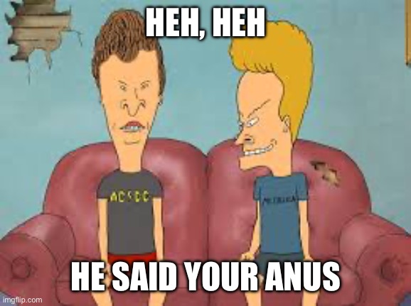 Bevis n Butthead | HEH, HEH HE SAID YOUR ANUS | image tagged in bevis n butthead | made w/ Imgflip meme maker