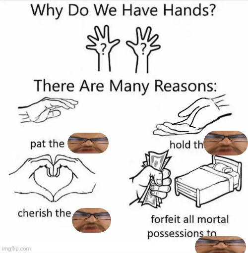 why do we have hands | image tagged in why do we have hands | made w/ Imgflip meme maker