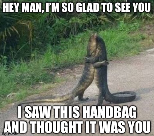 Glad you’re still alive pal | HEY MAN, I’M SO GLAD TO SEE YOU; I SAW THIS HANDBAG AND THOUGHT IT WAS YOU | image tagged in bag,alligators,hug,happy to see you | made w/ Imgflip meme maker