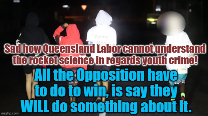 If the Conservatives want to win the Queensland election, do what Labor won't, STOP YOUTH CRIME! | Yarra Man; Sad how Queensland Labor cannot understand the rocket science in regards youth crime! All the Opposition have to do to win, is say they WILL do something about it. | image tagged in australia,lnp,violence,criminals,one nation,phon | made w/ Imgflip meme maker