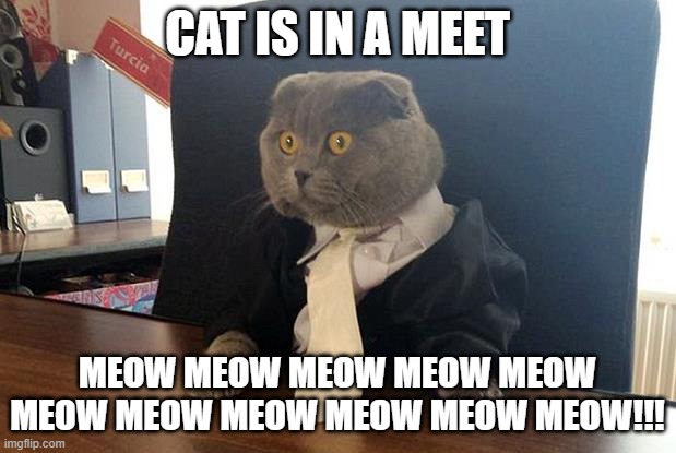 Business Cat | CAT IS IN A MEET; MEOW MEOW MEOW MEOW MEOW MEOW MEOW MEOW MEOW MEOW MEOW!!! | image tagged in business cat | made w/ Imgflip meme maker