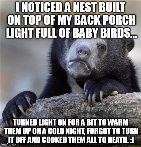 Confession Bear Meme | I NOTICED A NEST BUILT ON TOP OF MY BACK PORCH LIGHT FULL OF BABY BIRDS... TURNED LIGHT ON FOR A BIT TO WARM THEM UP ON A COLD NIGHT, FORGOT | image tagged in memes,confession bear,AdviceAnimals | made w/ Imgflip meme maker