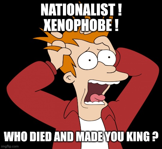 Futurama Fry Screaming | NATIONALIST !
XENOPHOBE ! WHO DIED AND MADE YOU KING ? | image tagged in futurama fry screaming | made w/ Imgflip meme maker