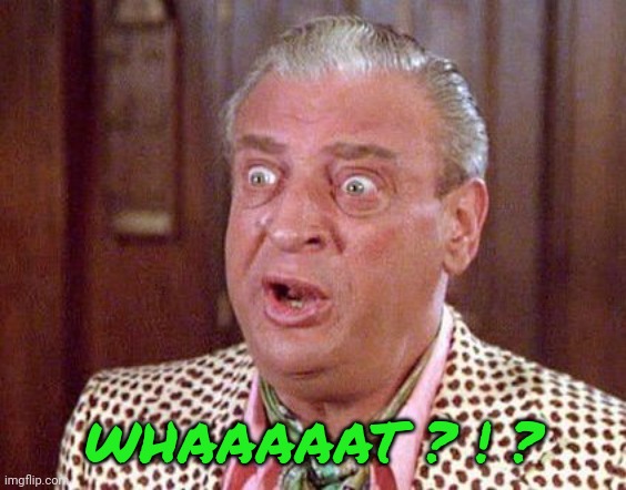 Rodney Dangerfield Shocked | WHAAAAAT ? ! ? | image tagged in rodney dangerfield shocked | made w/ Imgflip meme maker