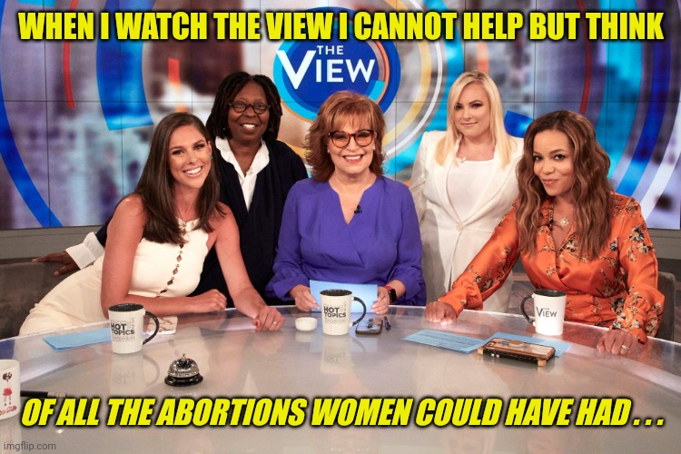 The View | WHEN I WATCH THE VIEW I CANNOT HELP BUT THINK OF ALL THE ABORTIONS WOMEN COULD HAVE HAD . . . | image tagged in the view | made w/ Imgflip meme maker