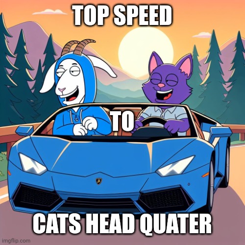 CATS HQ | TOP SPEED; TO; CATS HEAD QUATER | image tagged in cats hq | made w/ Imgflip meme maker