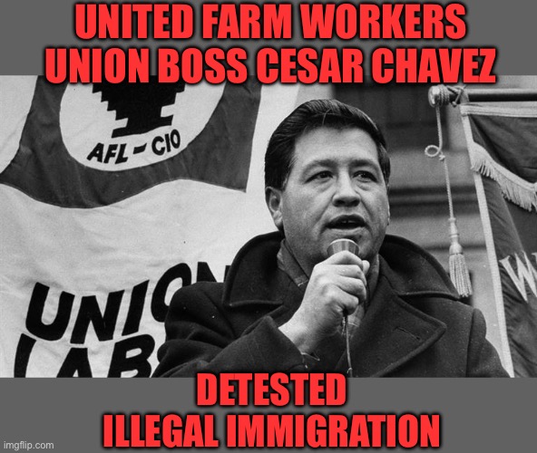 Cesar Chavez | UNITED FARM WORKERS UNION BOSS CESAR CHAVEZ DETESTED ILLEGAL IMMIGRATION | image tagged in cesar chavez | made w/ Imgflip meme maker