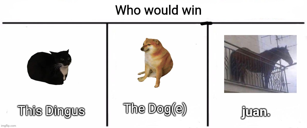 Battle Of The Meme Animals | This Dingus; The Dog(e); juan. | image tagged in 3x who would win,maxwell,cheems,juan,death battle,why are you reading the tags | made w/ Imgflip meme maker