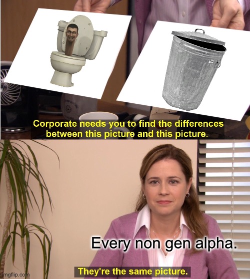 Take that Gen alpha! | Every non gen alpha. | image tagged in memes,they're the same picture,gen alpha,skibidi toilet sucks | made w/ Imgflip meme maker