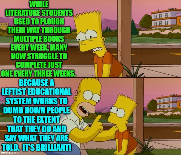 None of this is by accident. | WHILE LITERATURE STUDENTS USED TO PLOUGH THEIR WAY THROUGH MULTIPLE BOOKS EVERY WEEK, MANY NOW STRUGGLE TO COMPLETE JUST ONE EVERY THREE WEEKS. BECAUSE A LEFTIST EDUCATIONAL SYSTEM WORKS TO DUMB DOWN PEOPLE TO THE EXTENT THAT THEY DO AND SAY WHAT THEY ARE TOLD.  IT'S BRILLIANT! | image tagged in yep | made w/ Imgflip meme maker