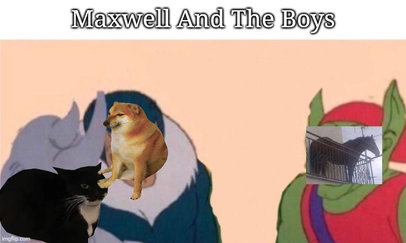 No Context Needed | Maxwell And The Boys | image tagged in me and the boys,maxwell,cheems,juan,animals,memes | made w/ Imgflip meme maker