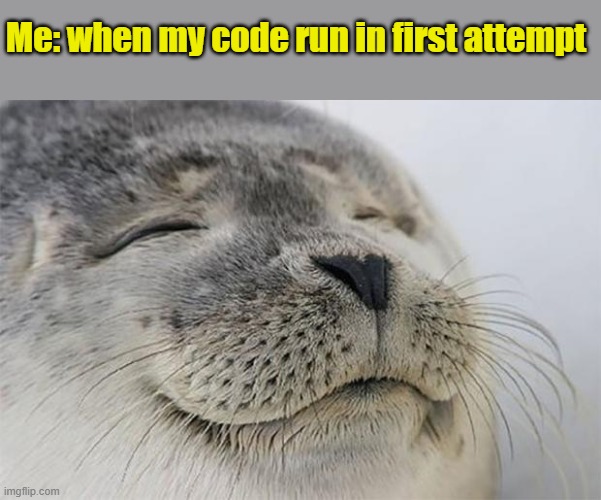 Holiday | Me: when my code run in first attempt | image tagged in memes,satisfied seal | made w/ Imgflip meme maker