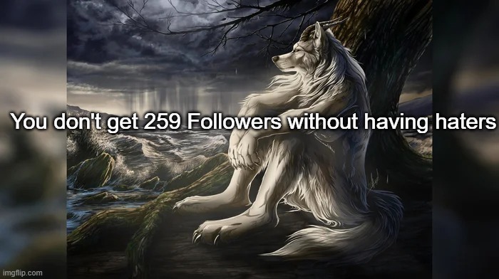 Sigma Wolf | You don't get 259 Followers without having haters | image tagged in sigma wolf | made w/ Imgflip meme maker