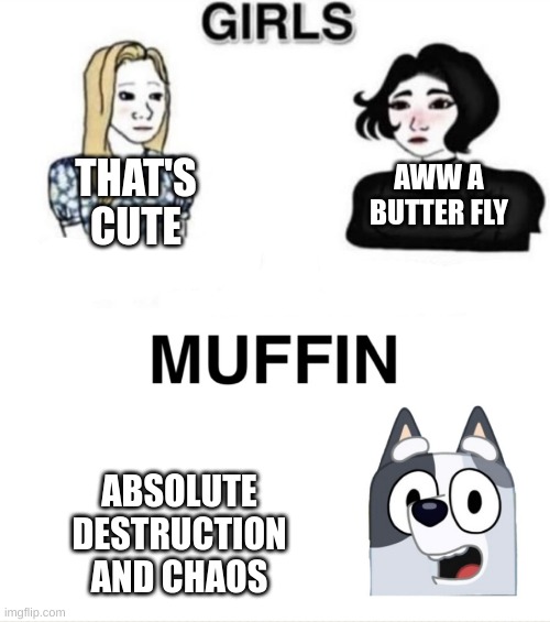 Girls and Muffin (Blank) | THAT'S CUTE; AWW A BUTTER FLY; ABSOLUTE DESTRUCTION AND CHAOS | image tagged in girls and muffin blank,funny,relatable,memes,middle school | made w/ Imgflip meme maker