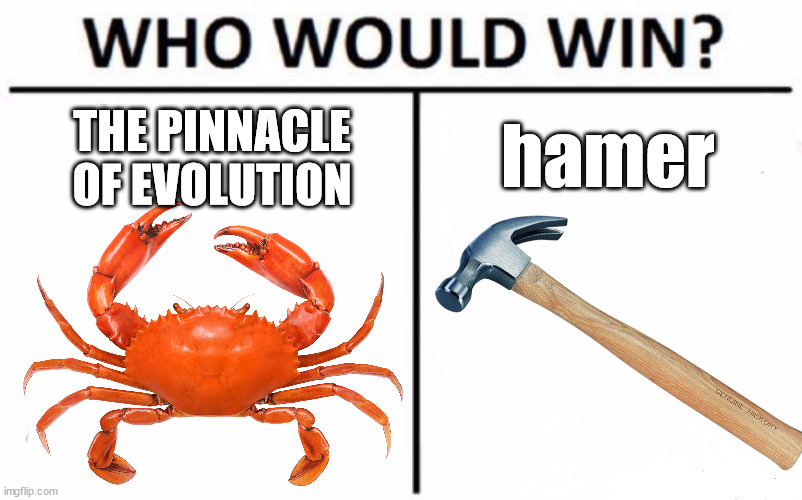 Hamer | hamer; THE PINNACLE OF EVOLUTION | image tagged in memes,who would win | made w/ Imgflip meme maker