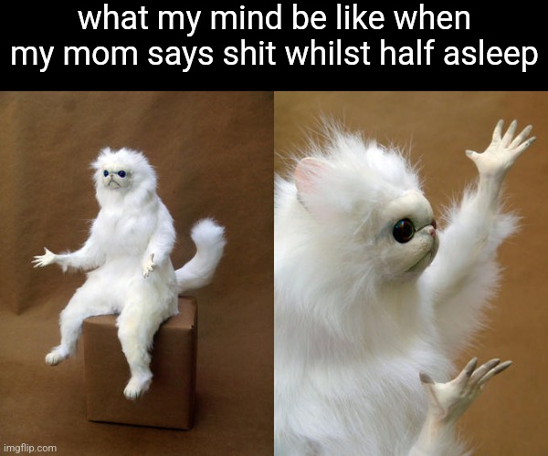 Persian Cat Room Guardian | what my mind be like when my mom says shit whilst half asleep | image tagged in memes,persian cat room guardian | made w/ Imgflip meme maker