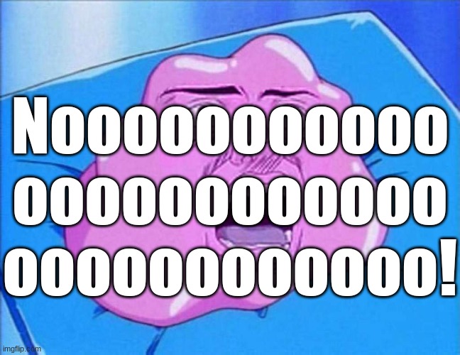 Ditto | Nooooooooooo oooooooooooo oooooooooooo! | image tagged in ditto | made w/ Imgflip meme maker